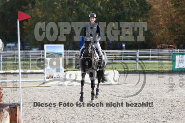IGV Lehrgang der Sieger der Cups mit Frank Ostholt