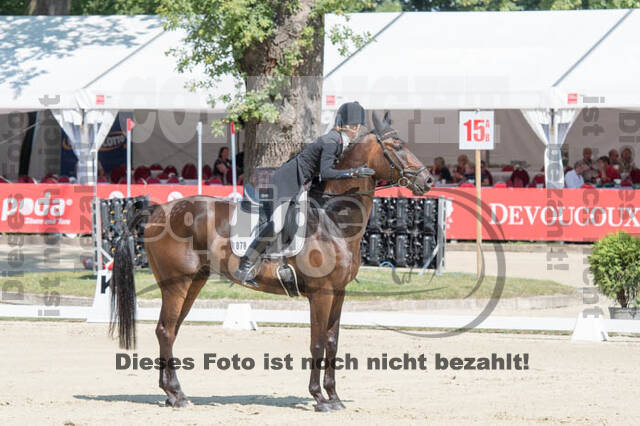 FEI European Championship Eventing 2017