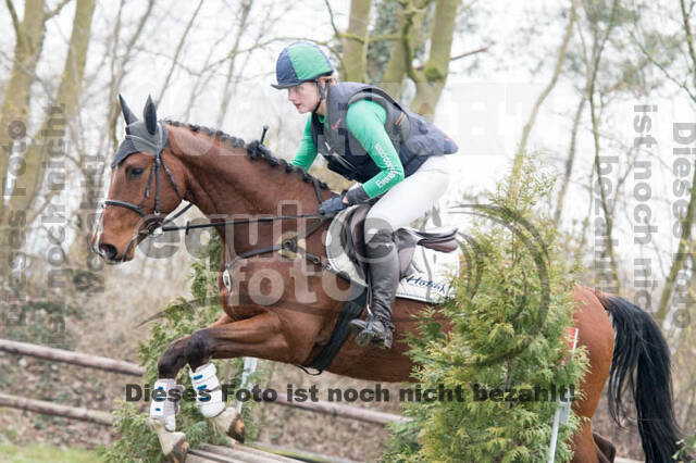 Jungpferdetag Hamminkeln