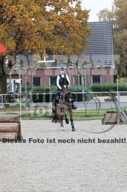 IGV Lehrgang der Sieger der Cups mit Frank Ostholt