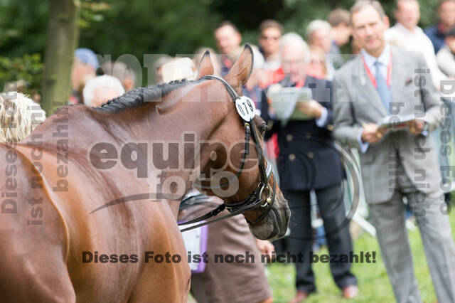 FEI European Championship Eventing 2017