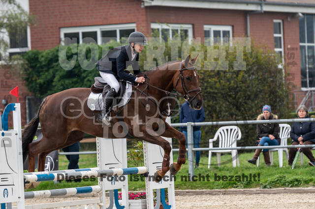 Goldene Schärpe 2020 - Pferde