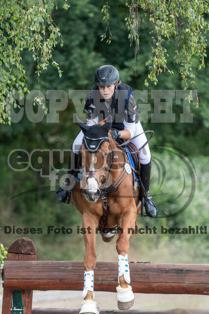 Late-Entry-Vielseitigkeit Langenfeld (11.+13./14.06.2020)
