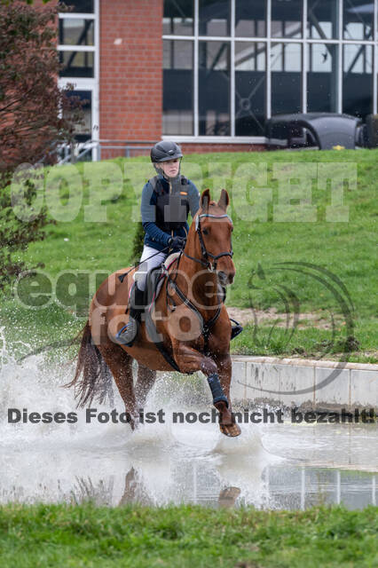 Goldene Schärpe 2020 - Pferde