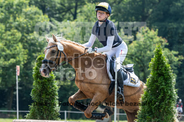 Goldene Schärpe 2021 - Ponys