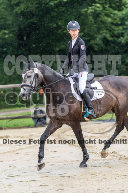 Goldene Schärpe 2021 - Ponys