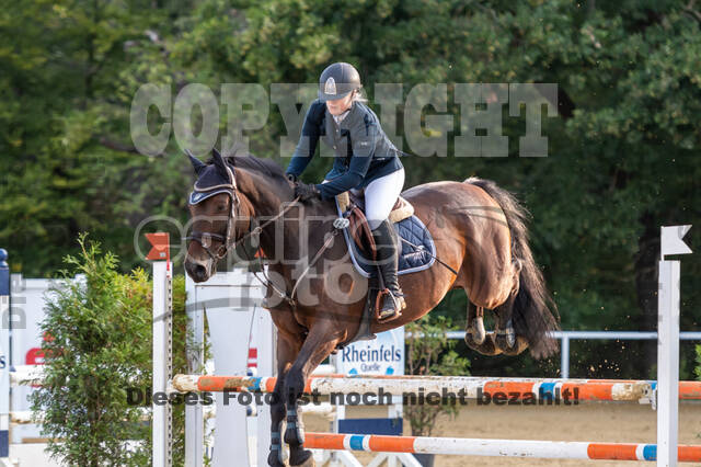 RFV Dinslaken-Hiesfeld (Herbstturnier)