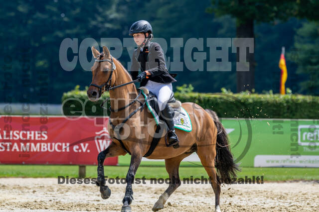 Goldene Schärpe 2021 - Ponys