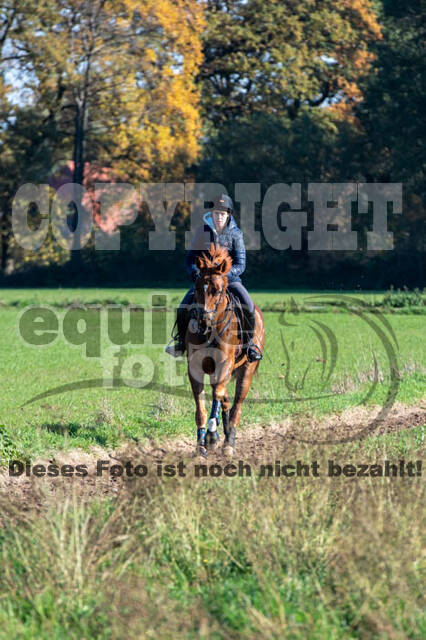 Vielseitigkeitslehrgang mit Jürg Kurbel (9.+10.11.2019)