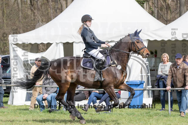 Frühjahrsvielseitigkeit RV Seydlitz Kamp