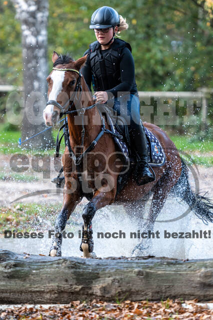 IGV Lehrgang der Sieger der Cups mit Frank Ostholt