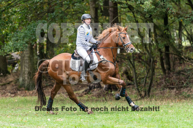 Vielseitigkeit RSV Wesel Obrighoven (26.+27.09.2020)