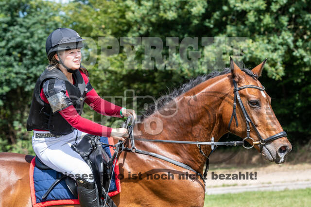 Late-Entry-Vielseitigkeit Langenfeld (11.+13./14.06.2020)