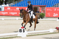 FEI European Championship Eventing 2017