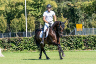 Kronenberg - De Peelbergen (August 2020)