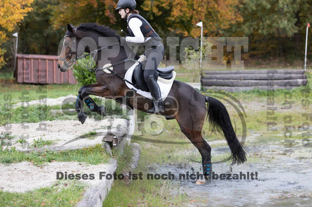 IGV Lehrgang der Sieger der Cups mit Frank Ostholt