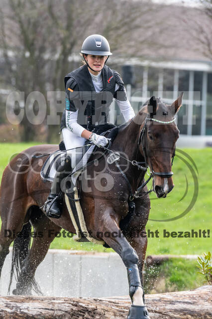 Goldene Schärpe 2020 - Pferde