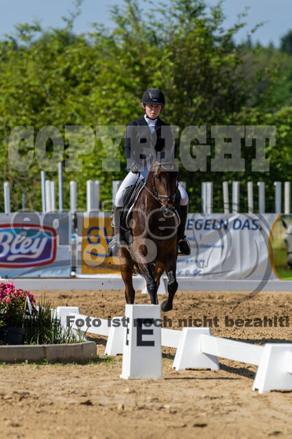 Westerstede Horse Trials 2021