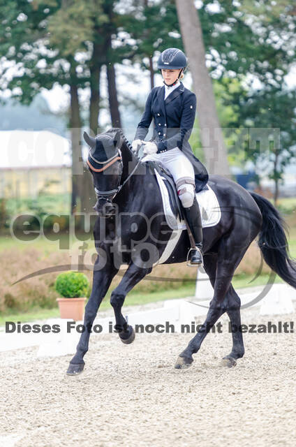 Deutsche Meisterschaft Vielseitigkeit (Luhmühlen)