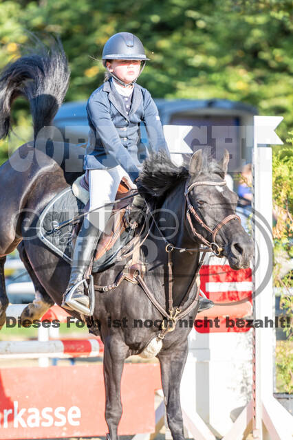 RFV Dinslaken-Hiesfeld (Herbstturnier)