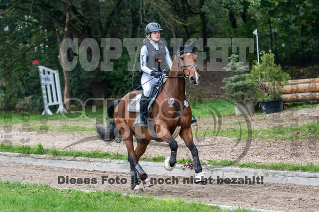 Goldene Schärpe 2020 - Pferde