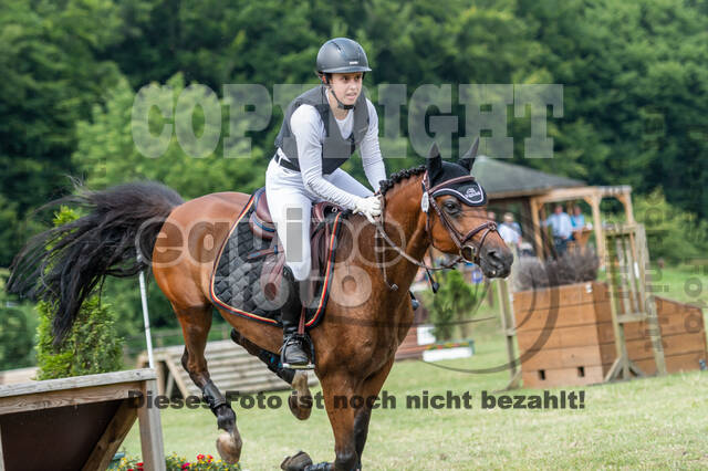 Goldene Schärpe 2021 - Ponys