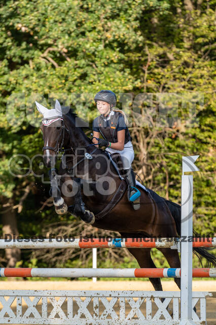 RFV Dinslaken-Hiesfeld (Herbstturnier)