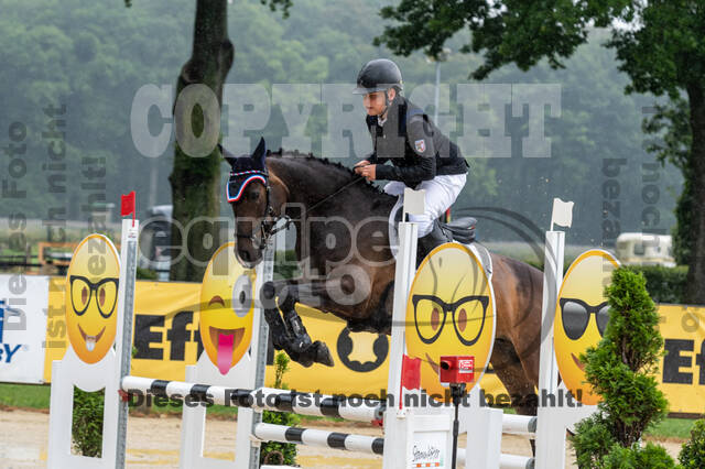 Goldene Schärpe 2021 - Ponys