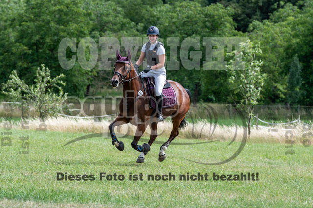 Bonn-Rodderberg Late-Entry-Vielseitigkeit (30.06.2020)