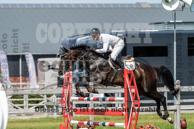 Kronenberg - De Peelbergen (August 2020)