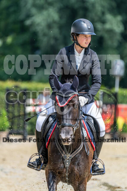 Goldene Schärpe 2021 - Ponys