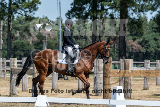 Kronenberg - De Peelbergen (August 2020)