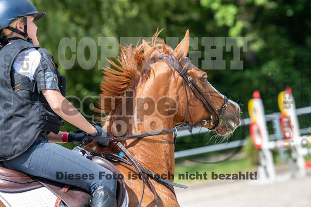 Test of Choise Langenfeld (29.+30.05.2021)