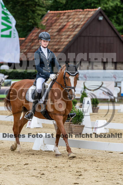 Goldene Schärpe 2021 - Ponys