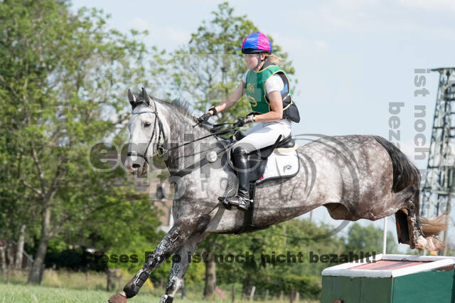 Vielseitigkeitsturnier ZRuFV von Lützow Hamminkeln