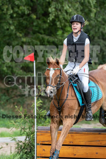 Late-Entry-Vielseitigkeit Langenfeld (06.+07.07.2020)