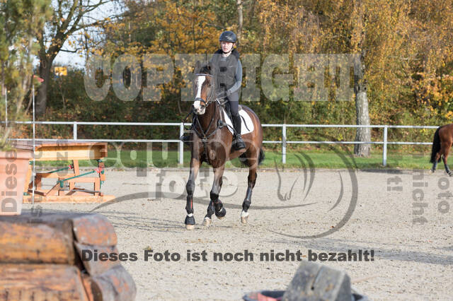 IGV Lehrgang der Sieger der Cups mit Frank Ostholt