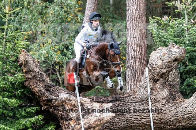 Vielseitigkeit RSV Wesel Obrighoven (26.+27.09.2020)