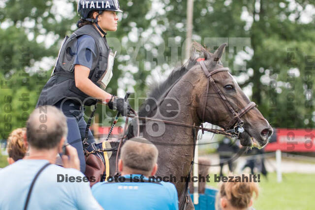 FEI European Championship
