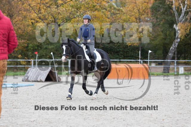 IGV Lehrgang der Sieger der Cups mit Frank Ostholt