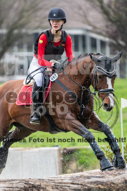 Goldene Schärpe 2020 - Pferde