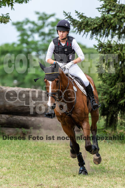 Late-Entry-Vielseitigkeit Langenfeld (11.+13./14.06.2020)