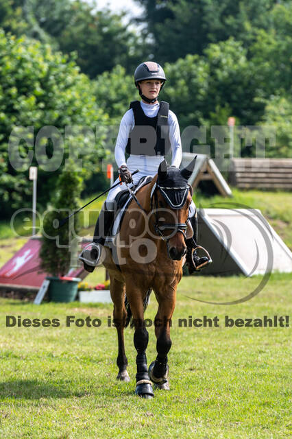 Goldene Schärpe 2021 - Ponys