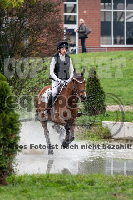 Goldene Schärpe 2020 - Pferde