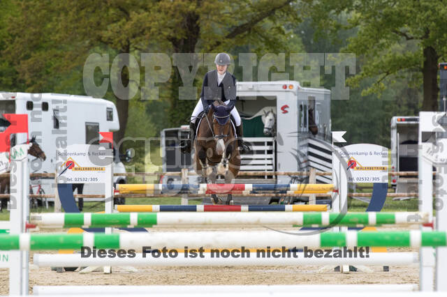 Sterne über Münster 2019 - CCI***S