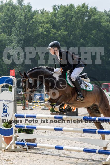 Goldene Schärpe 2021 - Ponys