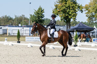 Kronenberg - De Peelbergen (August 2020)