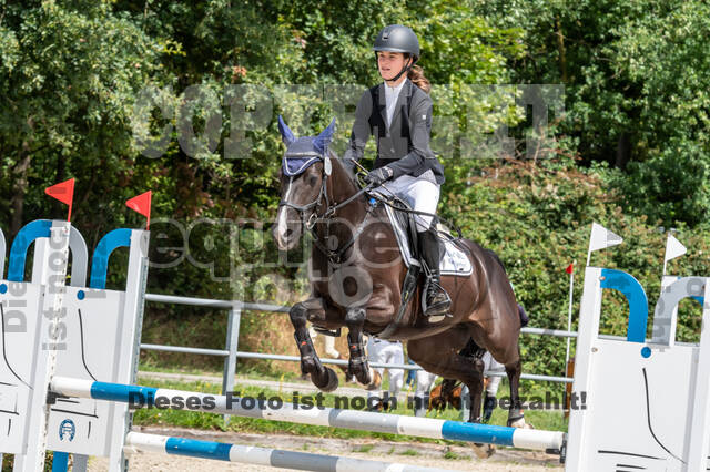 Late-Entry-Vielseitigkeit Langenfeld (06.+07.07.2020)