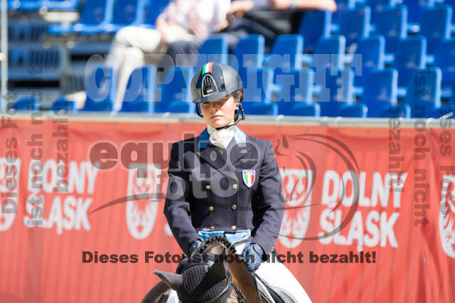 FEI European Championship