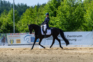 Westerstede Horse Trials 2021